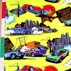Racing and Stunts, Hot Wheels